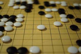 ac米兰官网-世界围棋赛青年选手战术成熟引热议，2020世界围棋