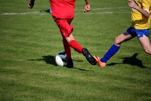 米兰体育网页版-国际足球俱乐部青训论坛在广州召开，国际足联青训补偿标准